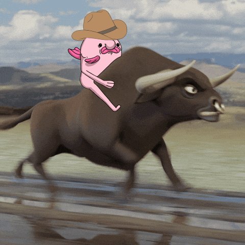 媒体预览
