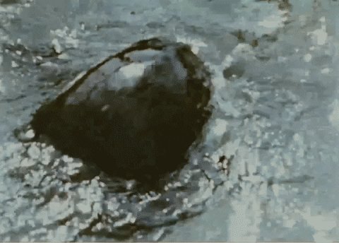 Це може бути ви, якщо ви знайдете альтернативний