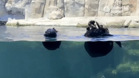 今夜のプロのように作業ゾーンを浮かび上がっています：