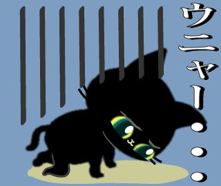 れんれん 様 Amazon.co.jp: 信楽焼 30号黒刷毛目浅型 すいれん鉢 メダカ鉢