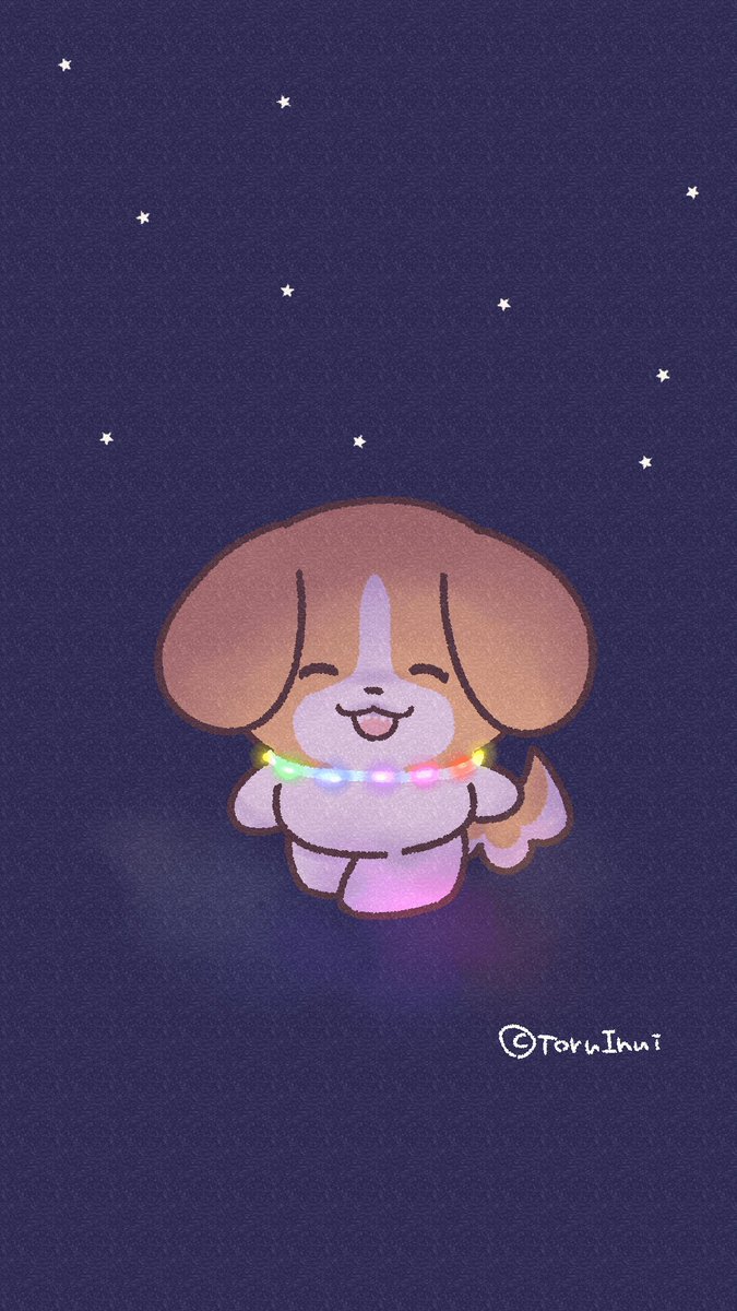 きなこはちわわ きなこ(チワックス) (@kinako_chihuachshund623) • Instagram