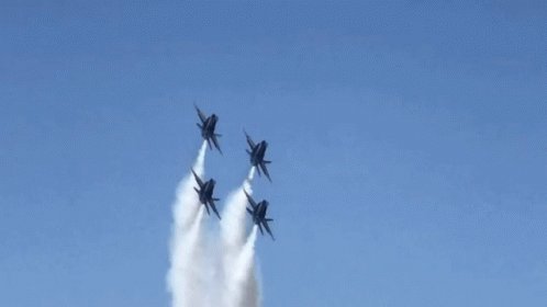 シーフェアカウントダウン-2日
