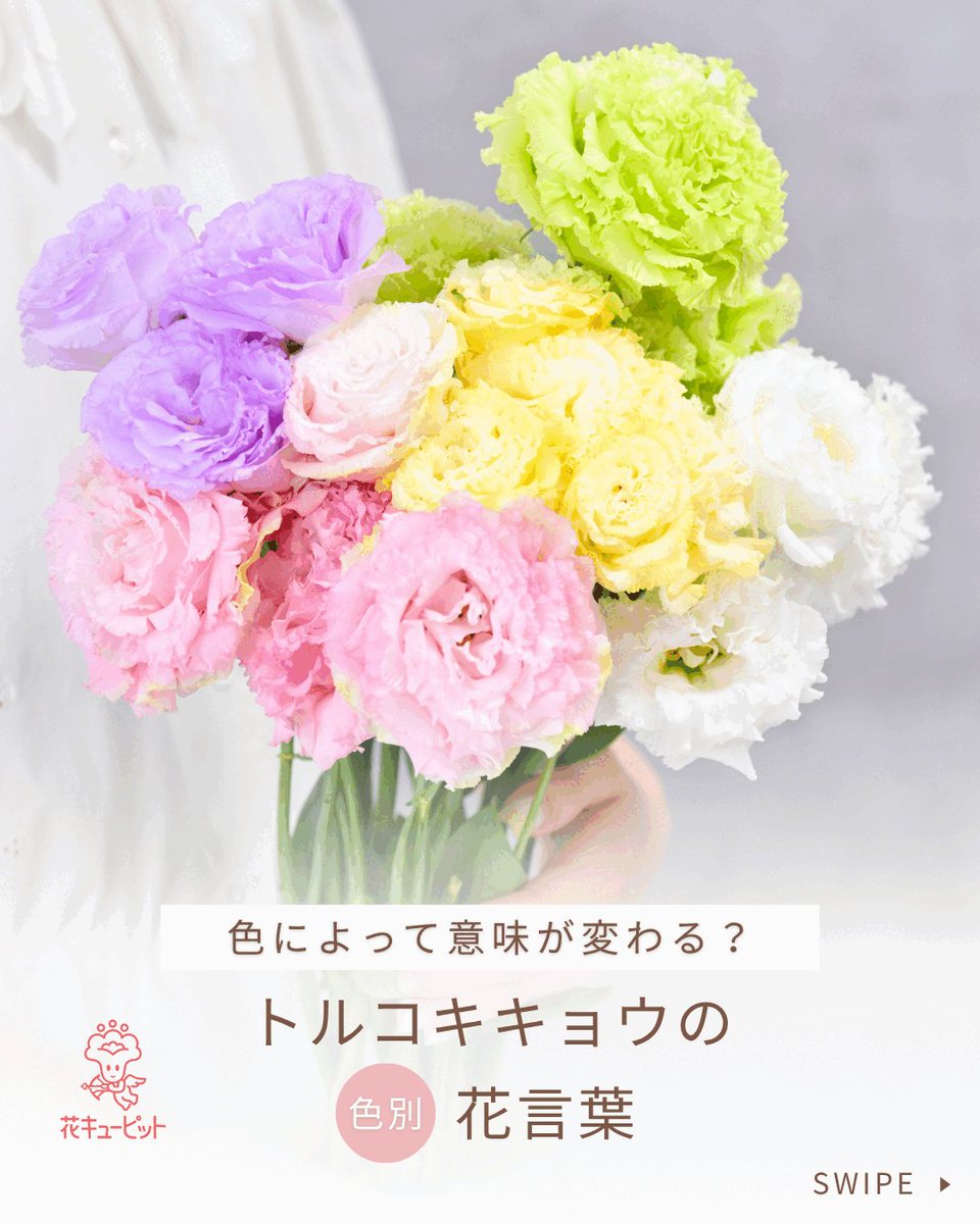 花49 ゼクス Z/X E49-002 甘い乙女 Flower Candy (N ノーマル