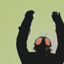 Tweet media one