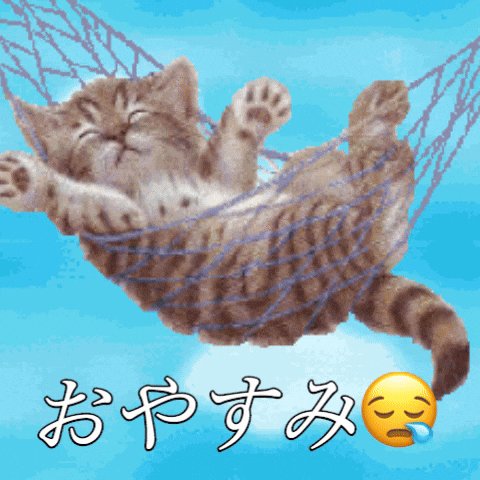 こぐま様・有難うございました✨ 🩵さこくねこ/stray cat 🤍 on X: 