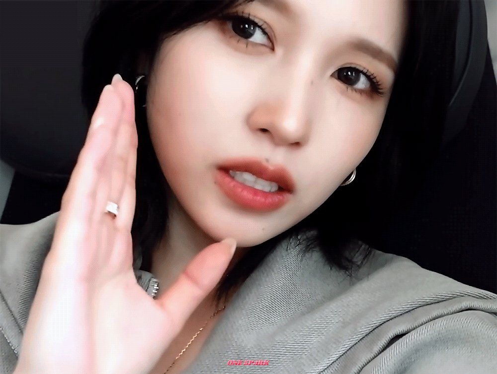 트둥이 (@twiceonce84) / X