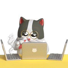 Tweet media four