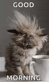 Chào buổi sáng giao thông Fam!Hãy kiểm tra những
