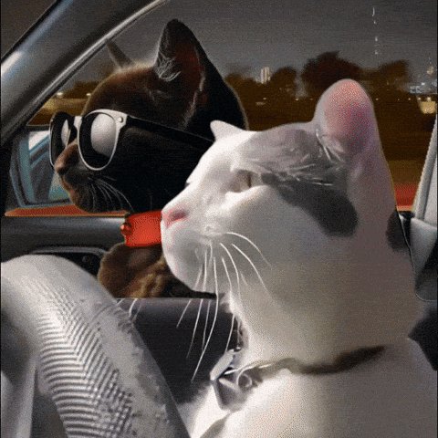 [SR-520] マウントレイク：一部通行止め
22:00-2:00