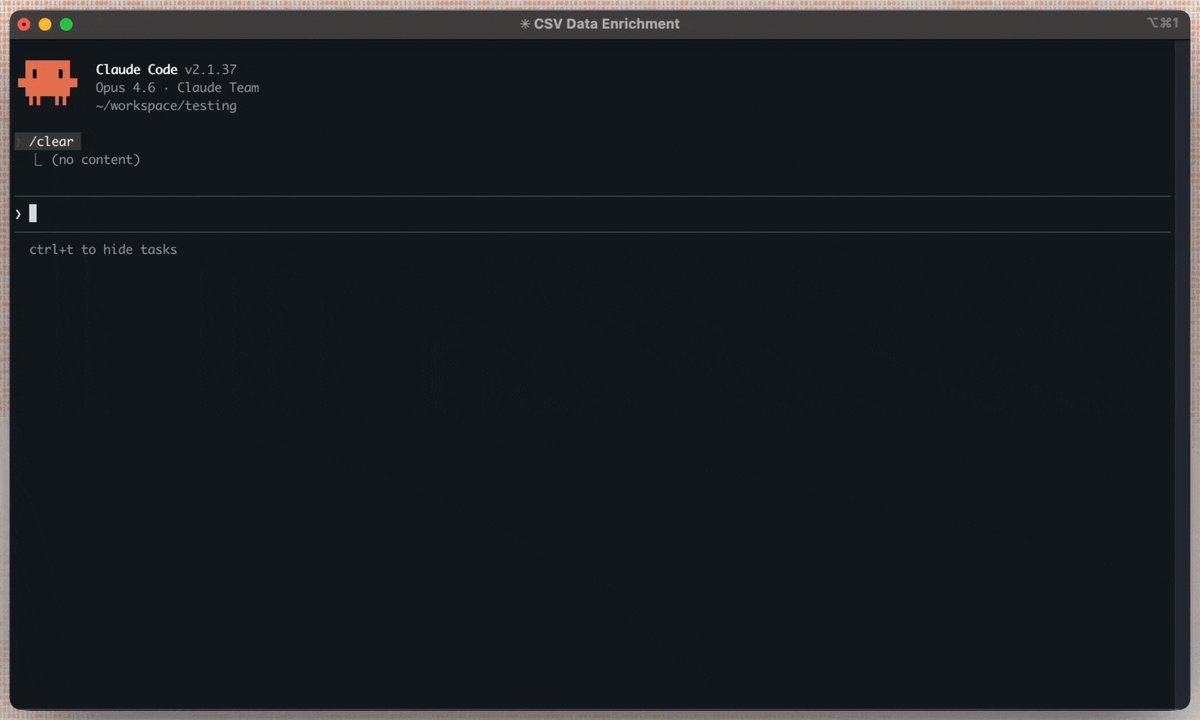 Terminal demo of skills