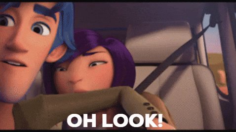 Vuurwerkoverlast in 's-Gravendeel, Hoeksche Waard