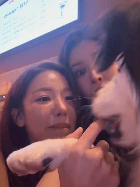 None