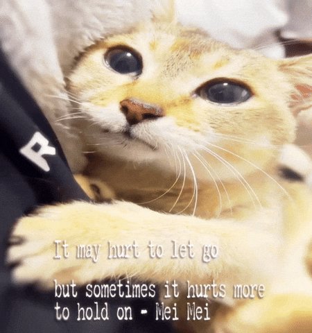 None
