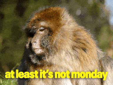 None