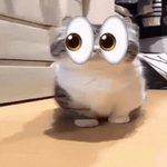 Photo by aerodynamic_bug ʕ⁠·⁠ᴥ⁠·⁠ʔ (@aerodynamicbug)
