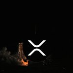 Photo by Crypto-FR (@Safemoonfr)