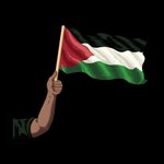 Photo by Free Palestine 🍉🇵🇸✨ (@itsmy46)